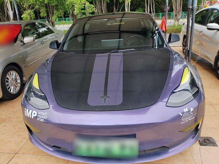 Model 3 2021 Performance AWD 3D6 photo 2
