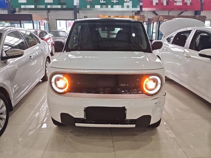 2023 Panda mini 200km Endurance Bear photo 2