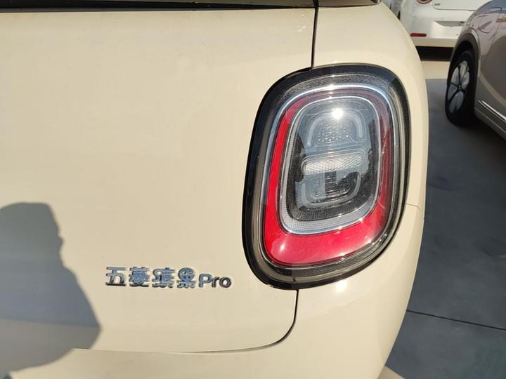 Bingo Pro 2026 330km Exclusive photo 7