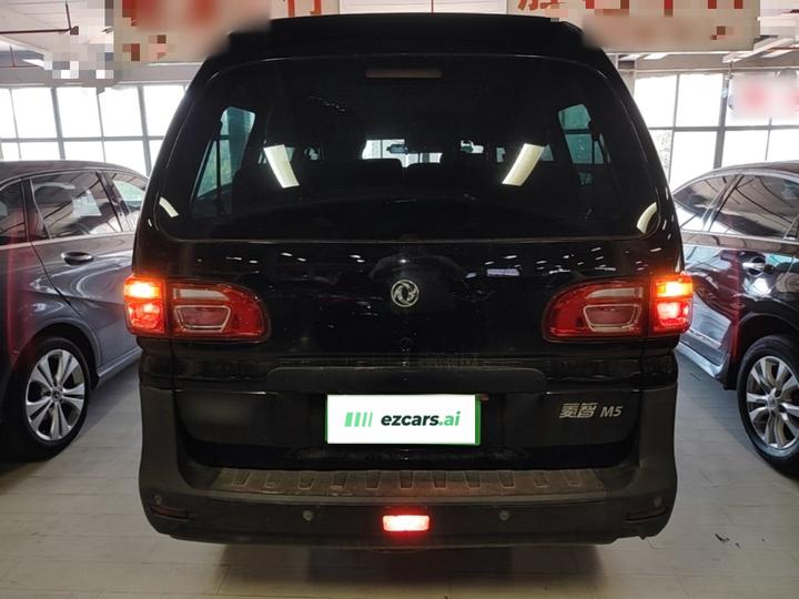 Lingzhi 2020 M5 1.6L photo 3