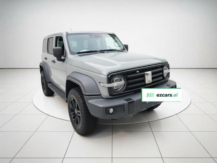 300 2021 Off-road 2.0T photo 3