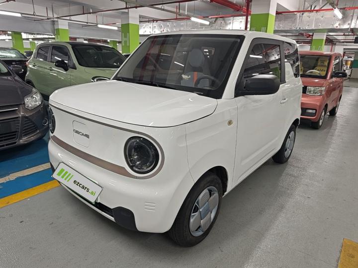 2023 Panda mini 200km Endurance Bear