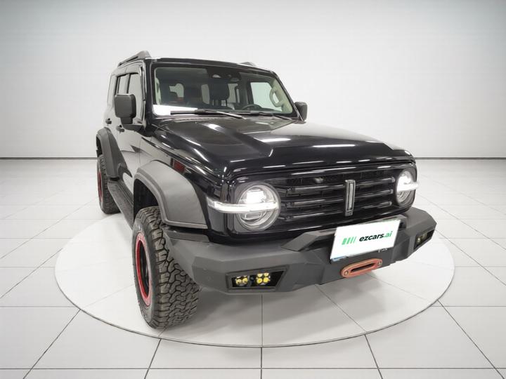 300 2021 Off-road 2.0T Conqueror photo 3