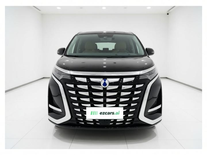 D9 2022 DM-i 970 AWD Flagship photo 2