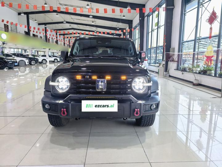 300 2023 Off-road 2.0T Conqueror photo 2