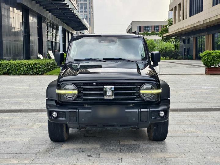 300 2021 Off-road 2.0T photo 2