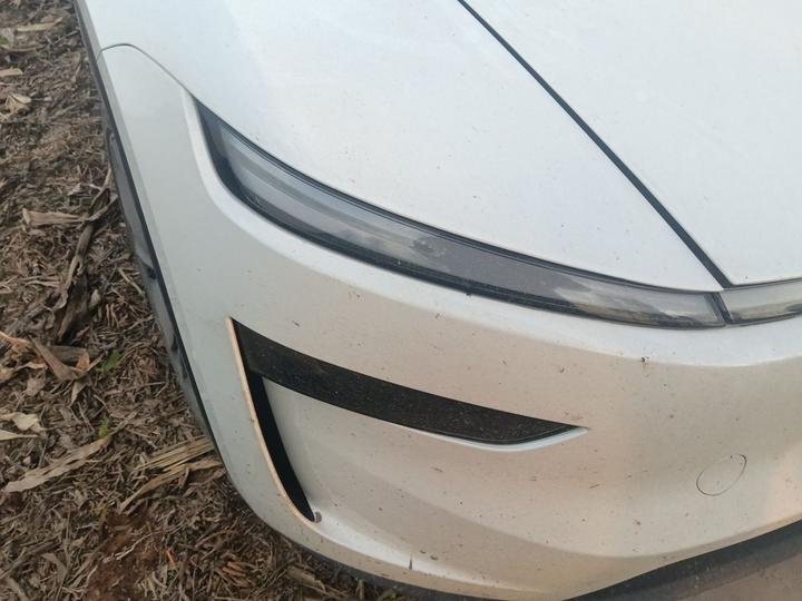 Model Y 2026 RWD photo 7