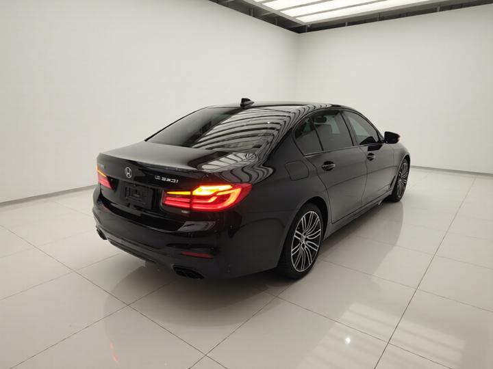 5 Series 2019 530Li Leading M Sport Package photo 4