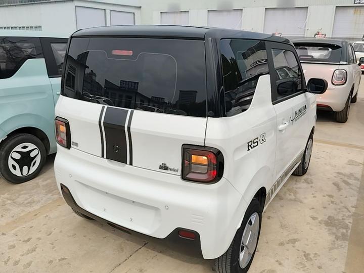 2023 Panda mini 200km Endurance Bear photo 6