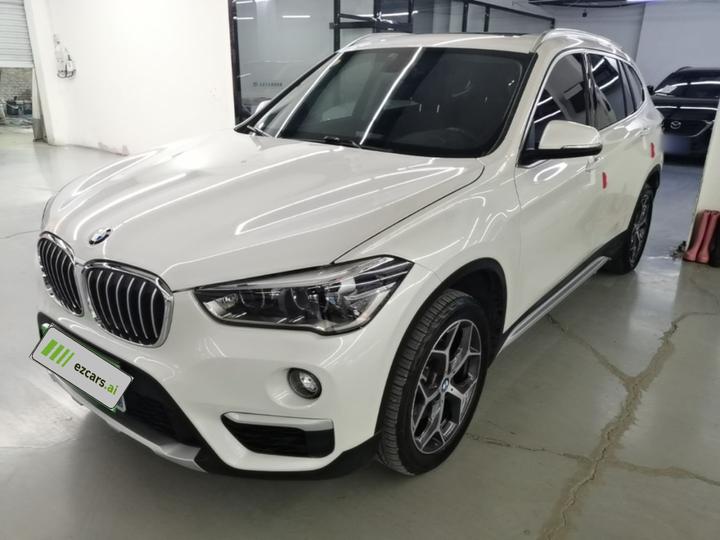 X1 2019 sDrive18Li Exclusive