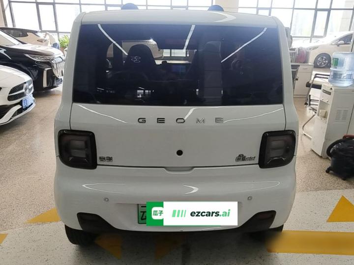 2023 Panda mini 200km Endurance Bear photo 5