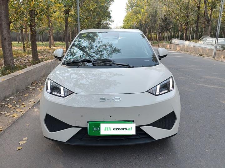 Seagull 2025 ADAS 305km photo 2
