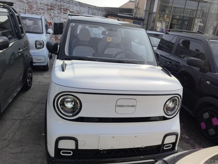 2025 210km Panda photo 2