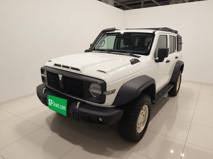 300 2023 2.0T 02