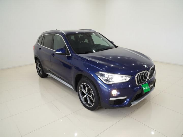 X1 2019 xDrive20Li Luxury photo 3