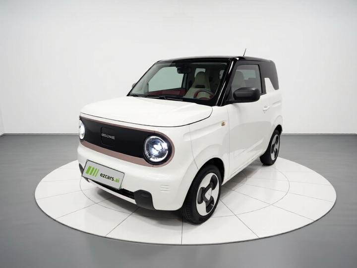 2023 Panda mini
