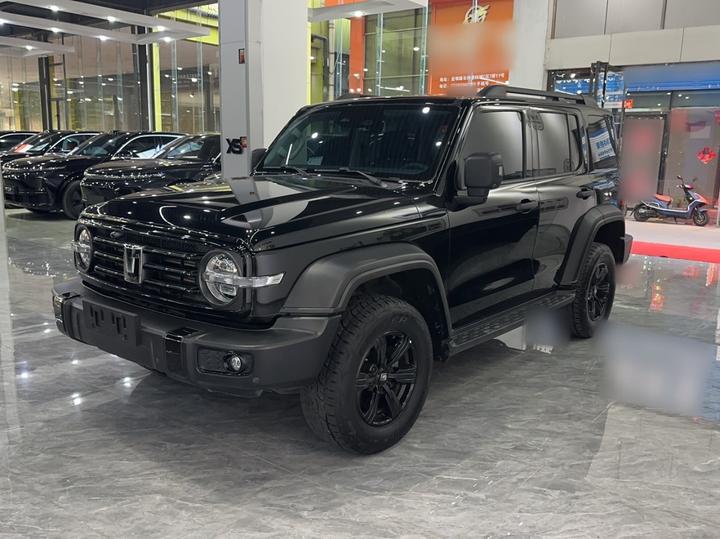 300 2023 Off-road 2.0T
