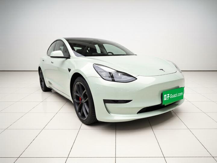 Model 3 2021 Performance AWD 3D6 photo 3