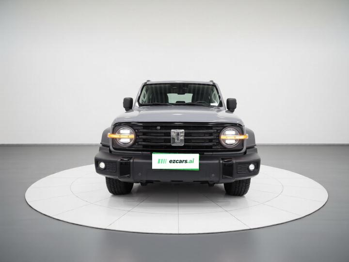 300 2021 Off-road 2.0T photo 2