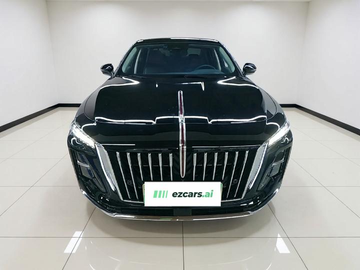 H5 PHEV 2025 170 photo 2