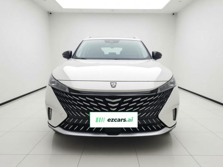 RX5 EV 2023 eRX5 Comfort photo 2