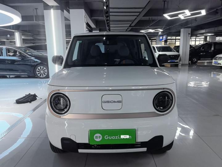 2023 Panda mini 200km Endurance Bear photo 2