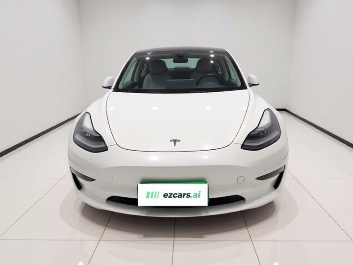 Model 3 Imported 2019 Performance AWD photo 2
