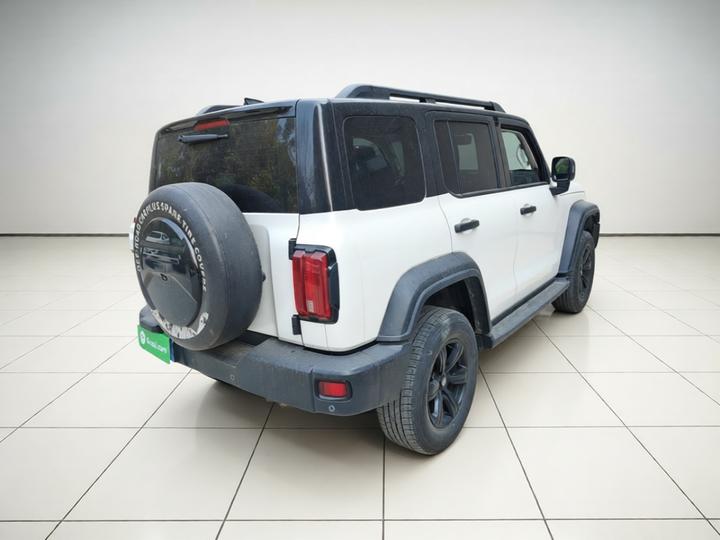 300 2021 Off-road 2.0T Conqueror photo 4