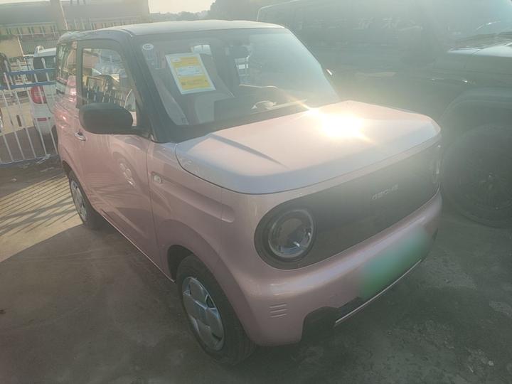 2024 Panda mini 200km Endurance Bear photo 3
