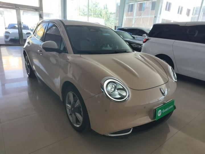 Good Cat 2021 400km Standard Range LFP photo 3
