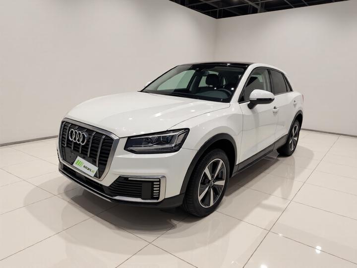 Q2L e-tron 2019 Q2L e-tron EV
