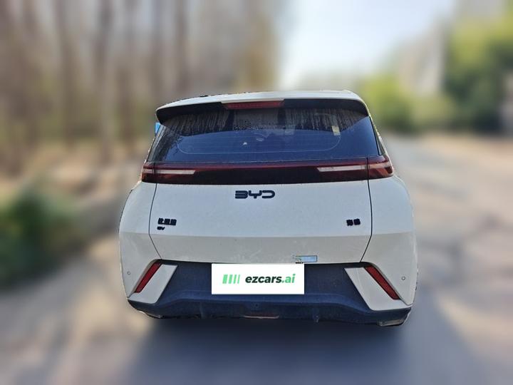 Seagull 2024 Honor 405km photo 5