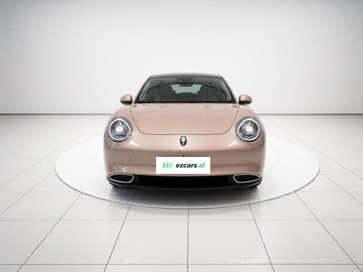 Good Cat 2024 401km Luxury photo 2