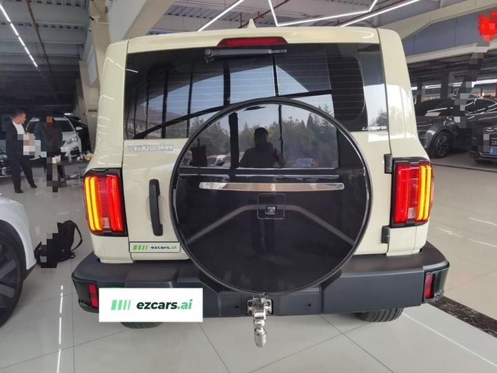 300 2025 2.0T Petrol Conqueror photo 3