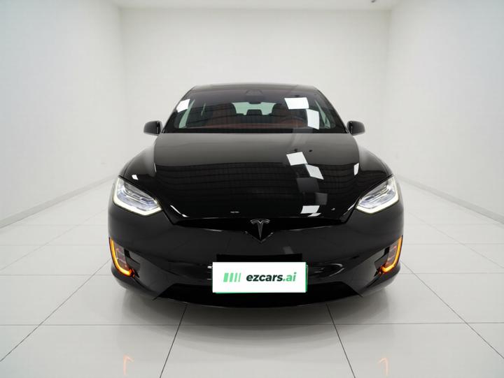 Model X 2019 Performance Performance photo 2