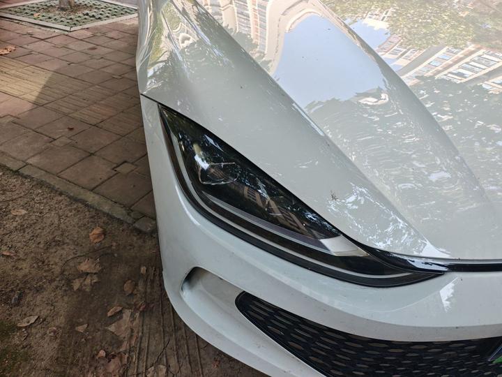 2022 Lamando L 280TSI DSG Cool photo 7