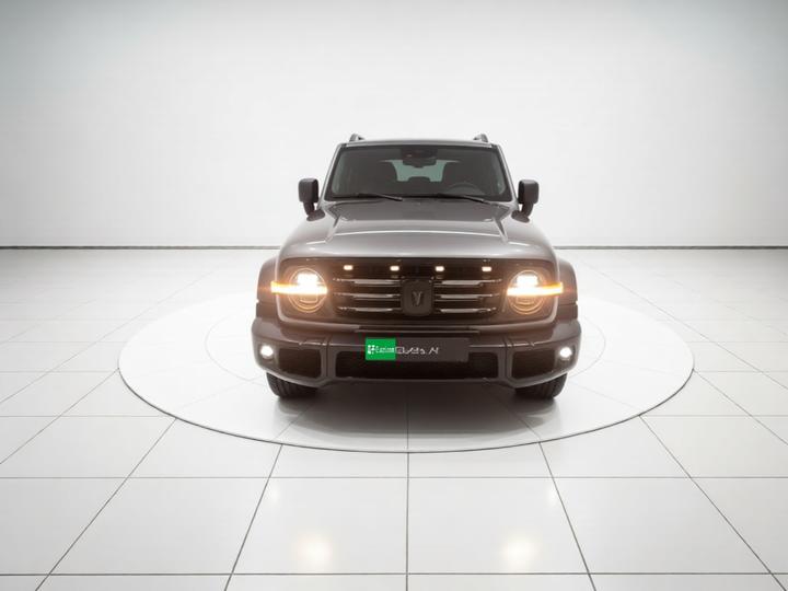 300 2021 Off-road 2.0T Conqueror photo 2
