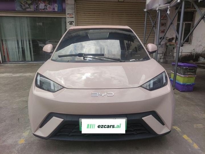 Seagull 2024 Honor 305km photo 2
