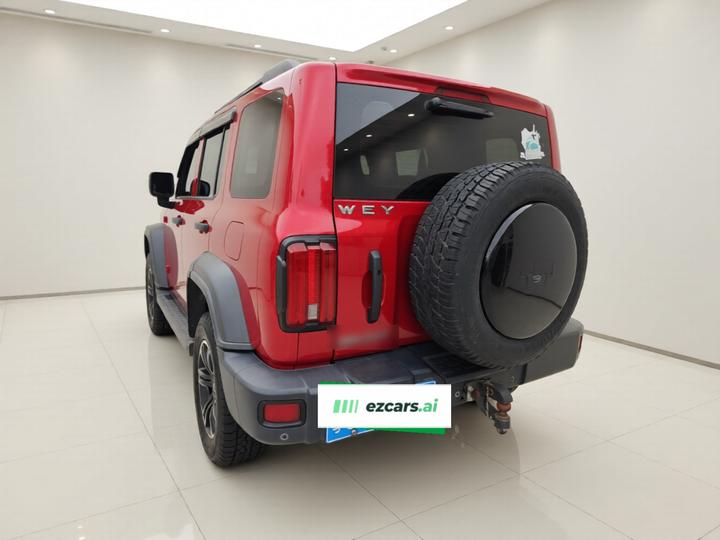 300 2021 Off-road 2.0T Conqueror photo 4