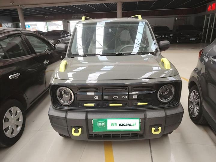 2025 210km Panda photo 2