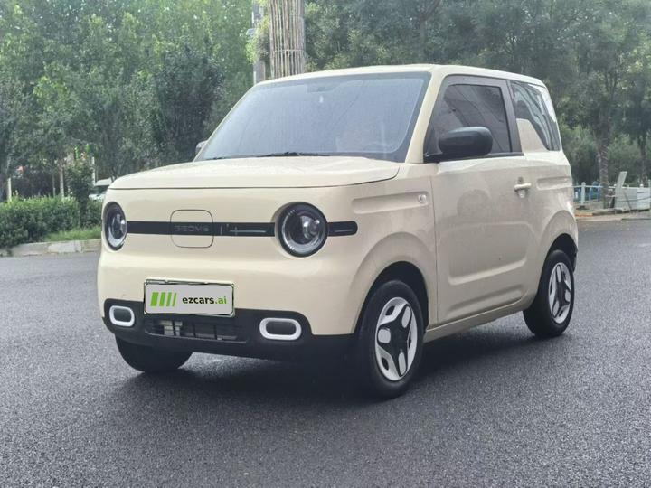 2025 Panda mini 210km Yuan