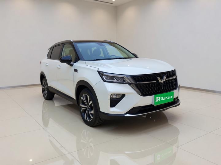 Wuling 2022 2.0L DHT photo 3