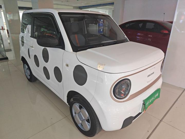 2023 Panda mini 200km Endurance Bear photo 3