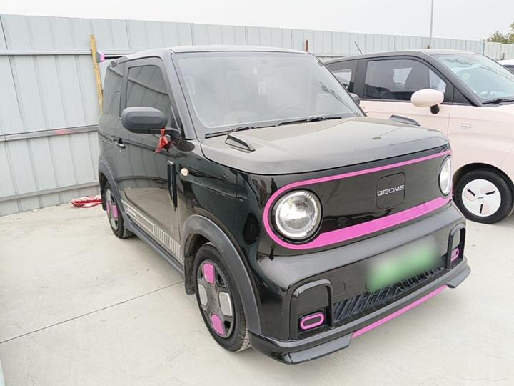 2025 210km Panda photo 3