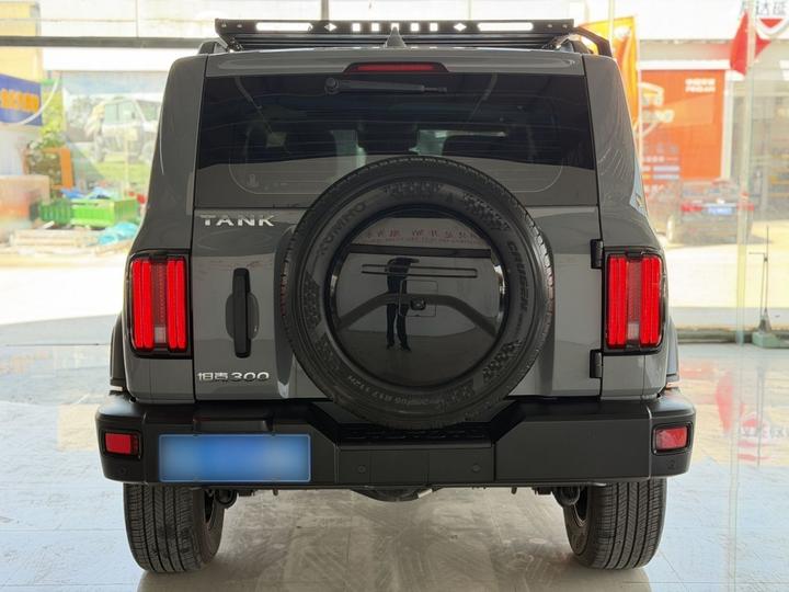 300 2021 Off-road 2.0T Explorer photo 5