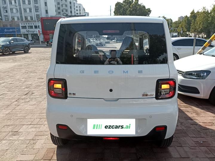 2023 Panda mini 200km Endurance Bear photo 5