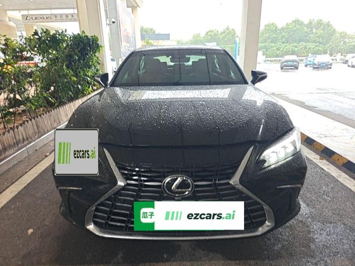 ES 2025 300h Executive photo 2