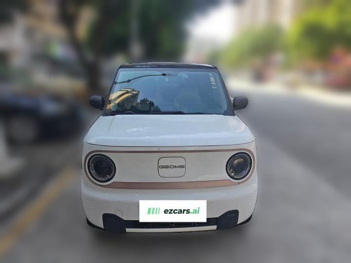 2024 200km Panda photo 2
