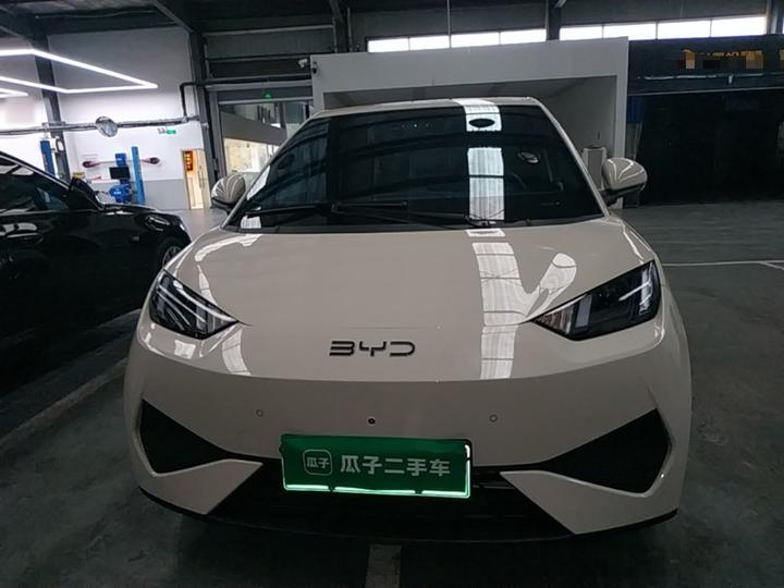 Seagull 2025 ADAS 305km photo 2