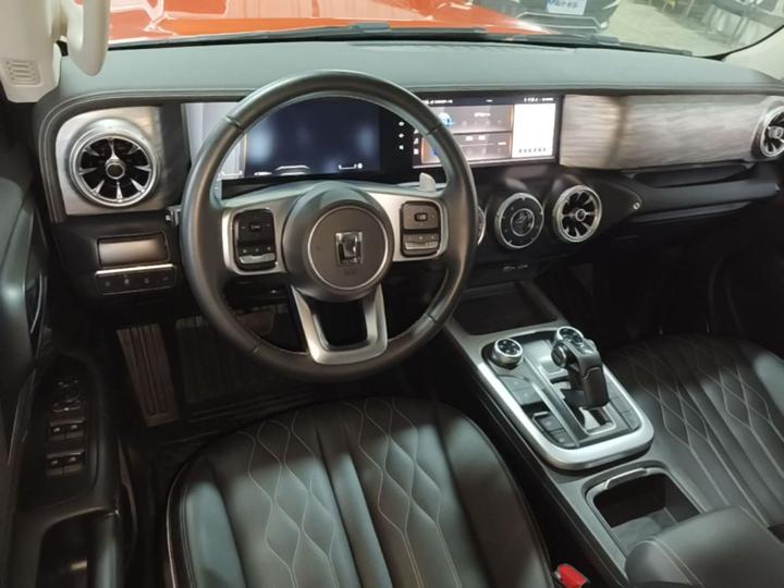 300 2021 Off-road 2.0T photo 5